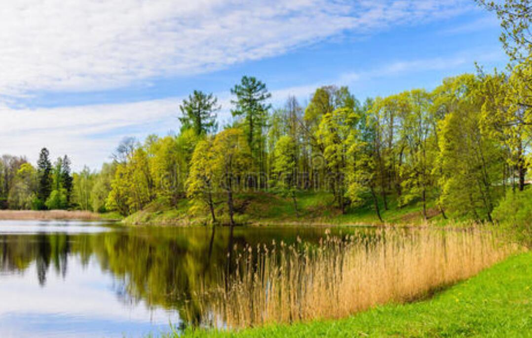 美丽的鱼塘.jpg 美丽的鱼塘.jpg