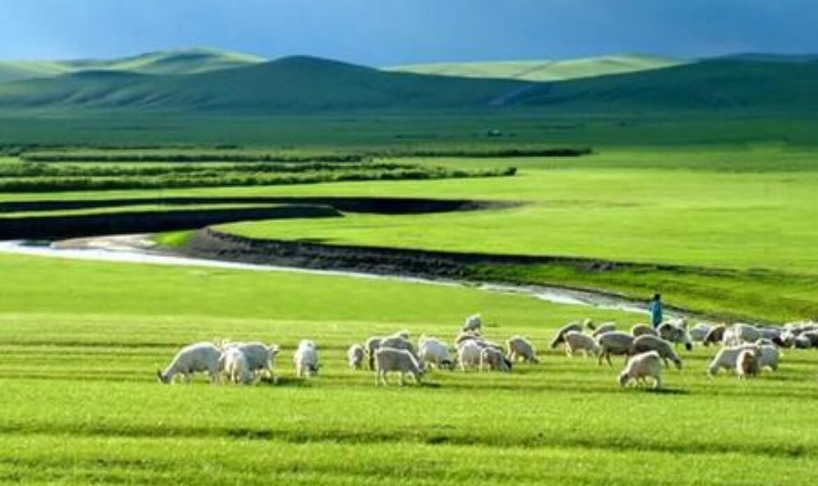 呼和浩特.jpg 呼和浩特.jpg