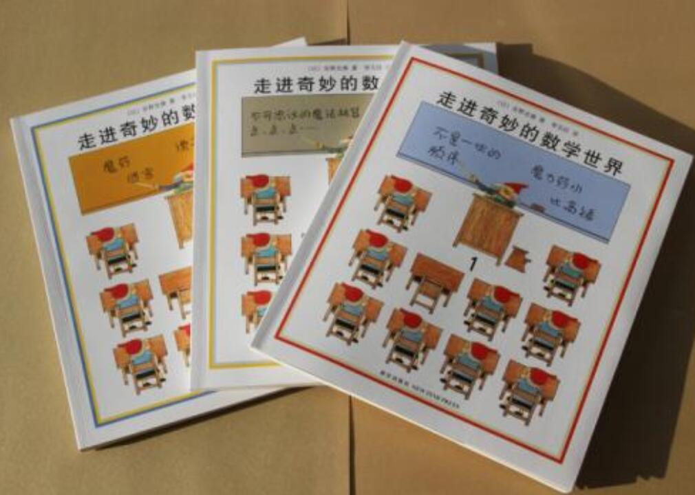 《走进奇妙的数学世界》读后感1000字