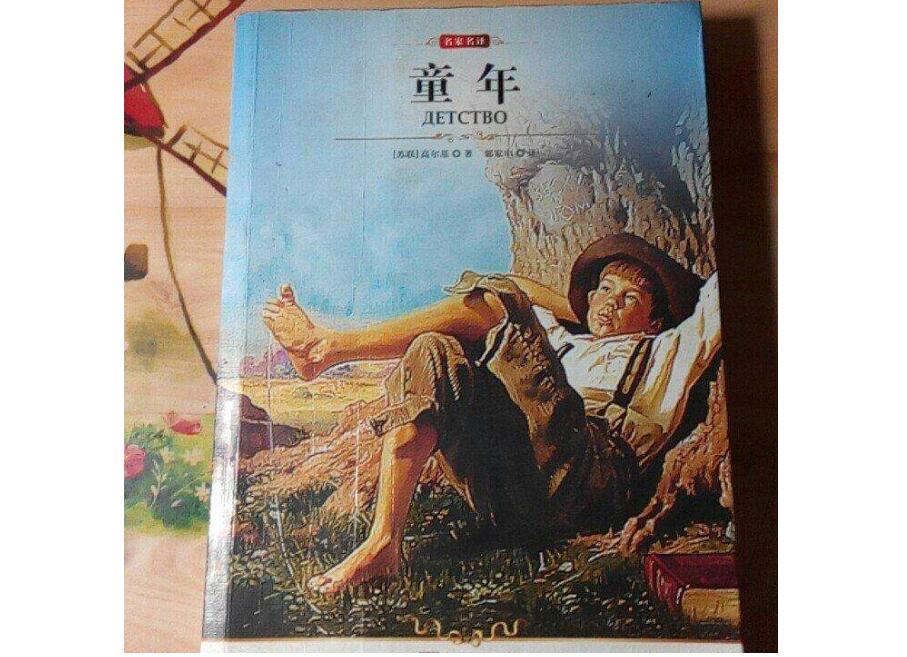 《童年》读后感1000字