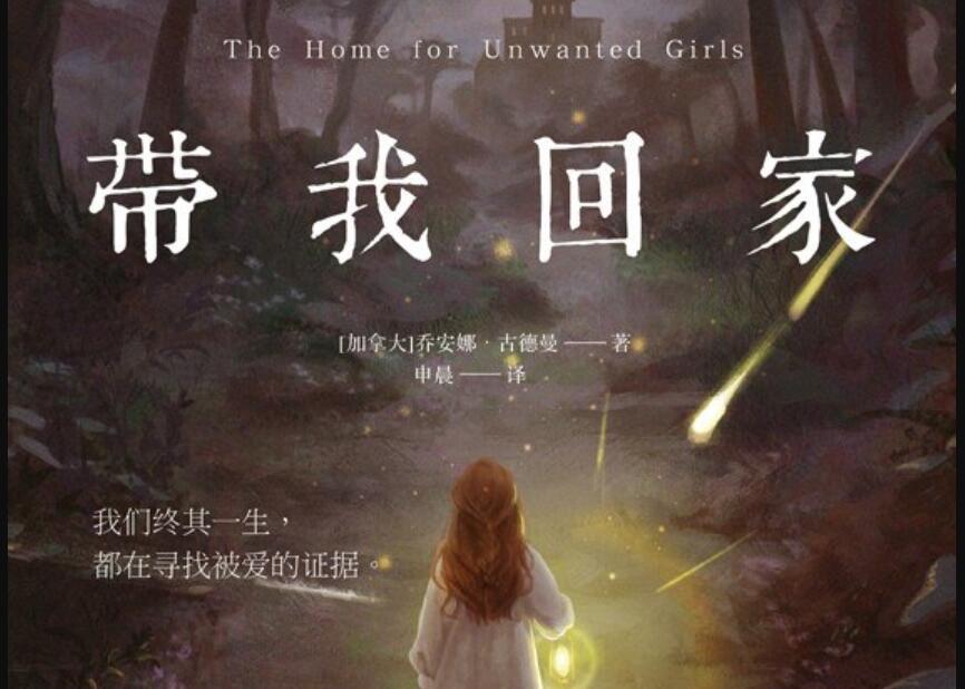 《带我回家》读后感1000字