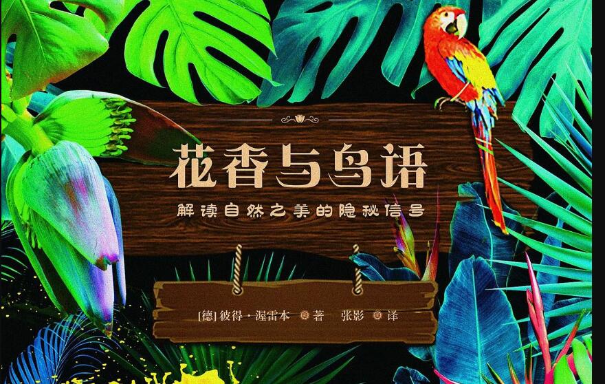 《花香与鸟语》读后感2000字