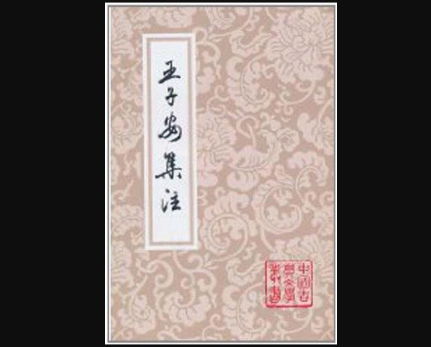 《王子安集注》读后感600字