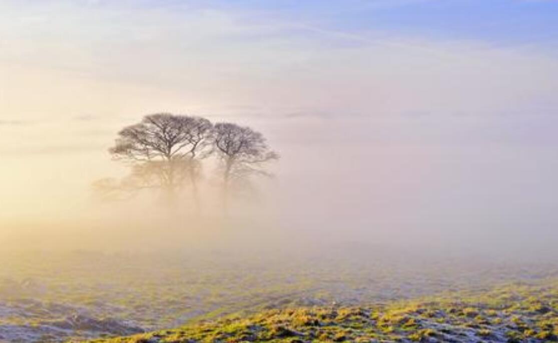 美丽的雾.jpg 美丽的雾.jpg