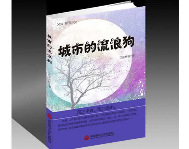 《城市流浪》读后感200字