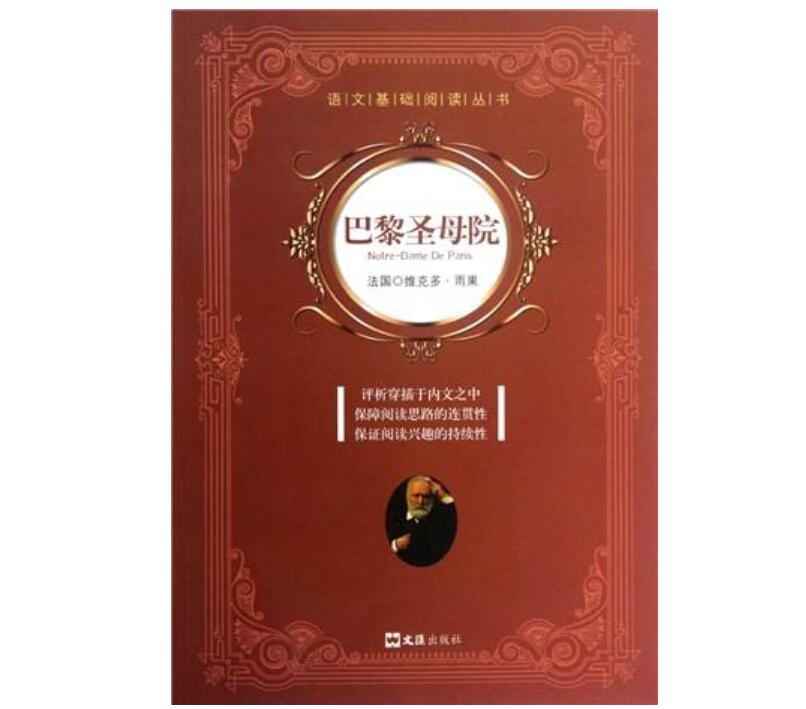 《巴黎圣母院》读后感800字