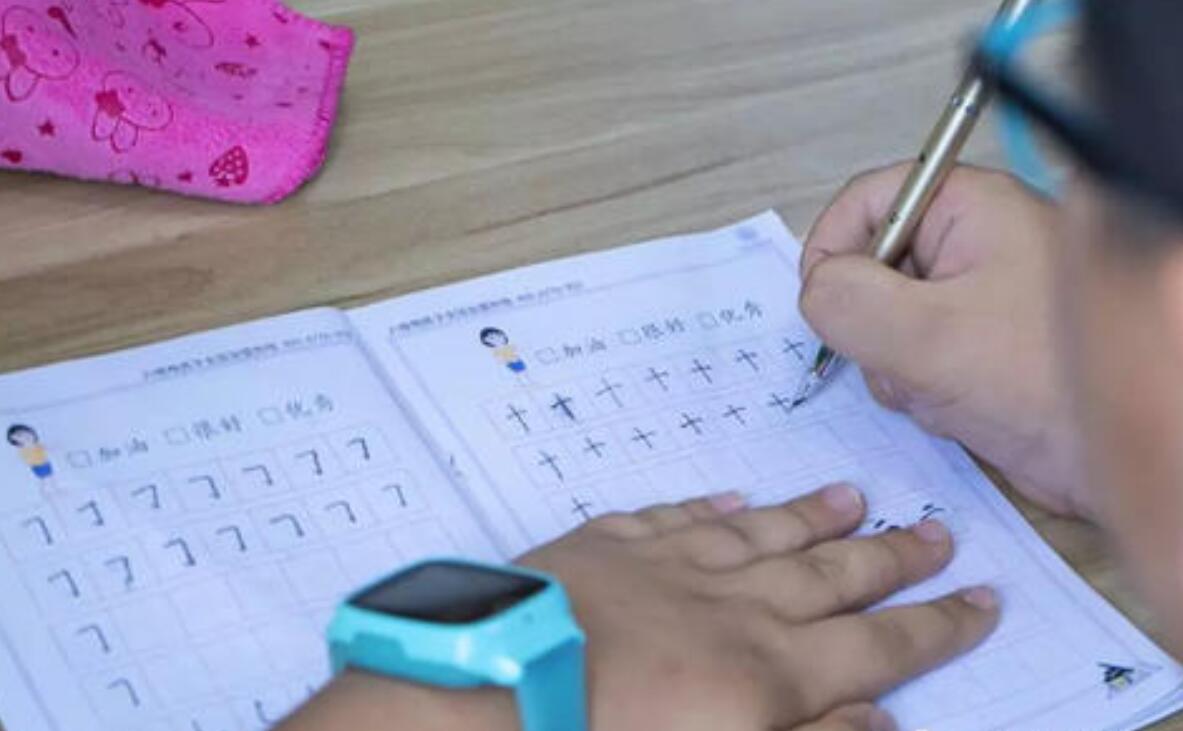 练字的苦与乐作文800字