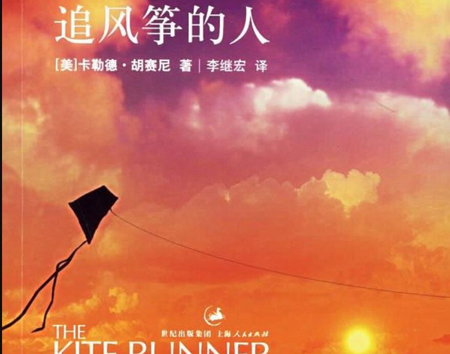 《追风筝的人》读后感500字