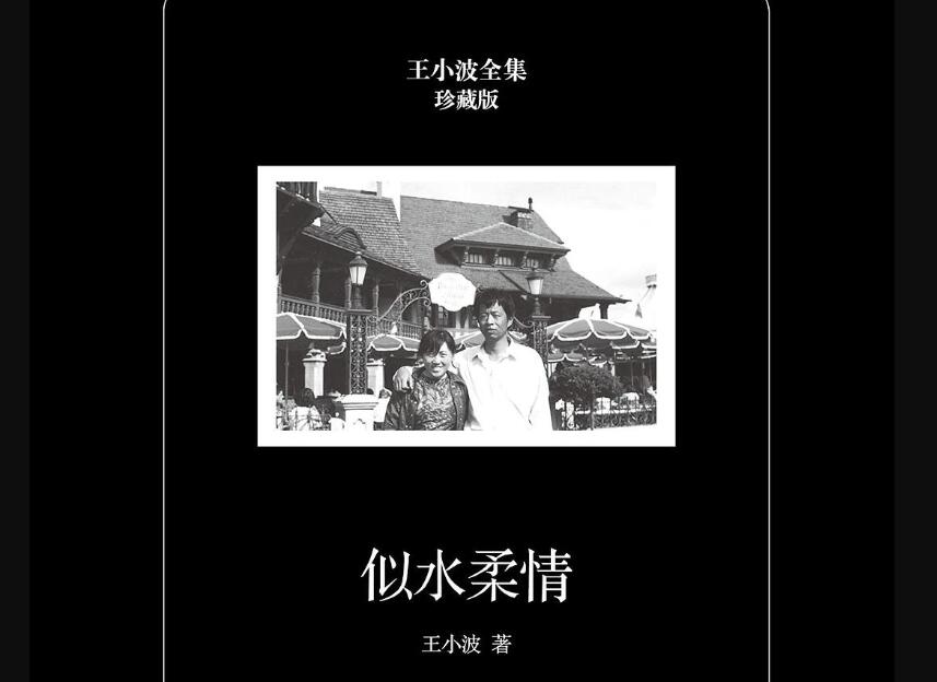 《似水柔情》读后感800字