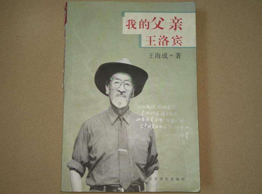 《我的父亲王洛宾》读后感500字