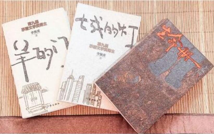 《羊的门》读后感600字