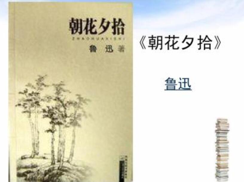 《朝花夕拾》读后感500字