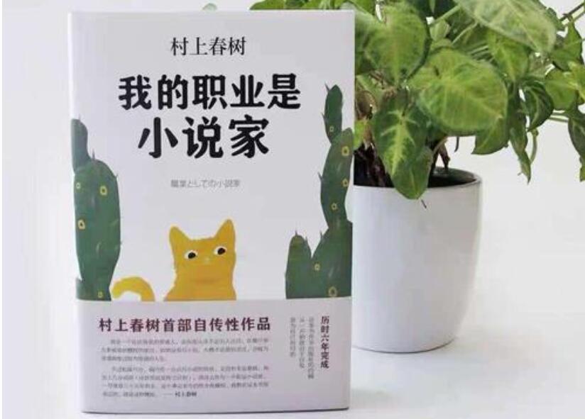 《我的职业是小说家》读后感1000字