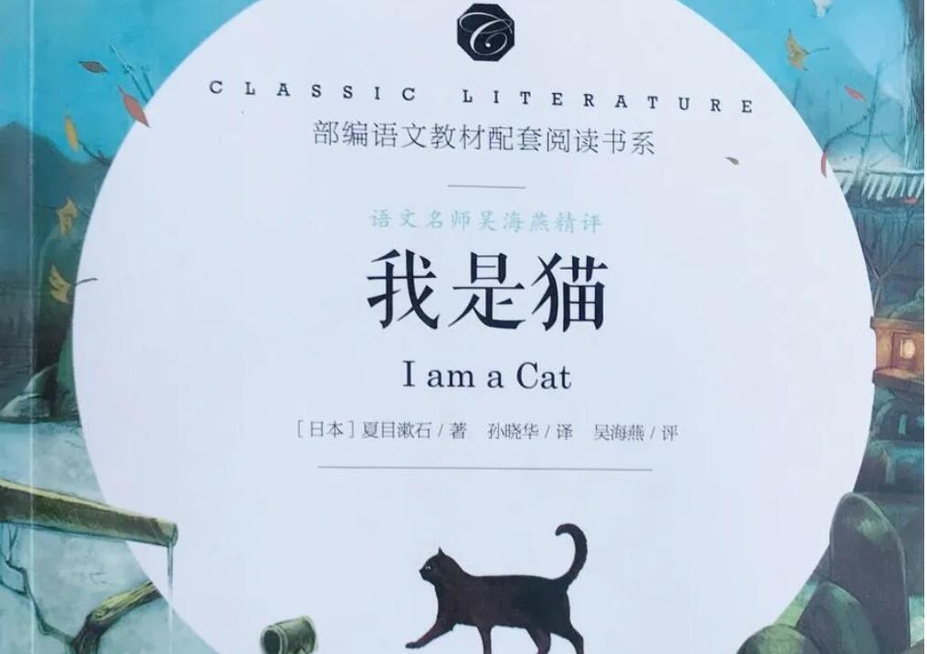 《我是猫》读后感600字