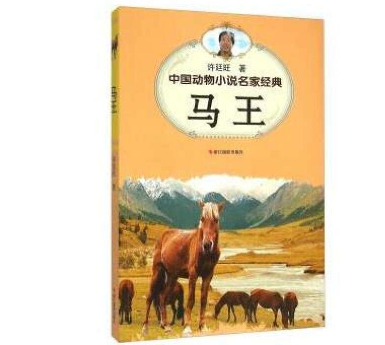 《最后的马王》读后感500字