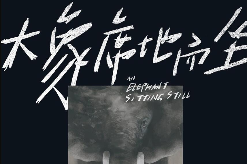 《大象席地而坐》读后感300字