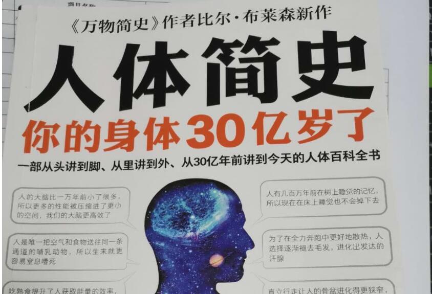 《万物简史》读后感400字