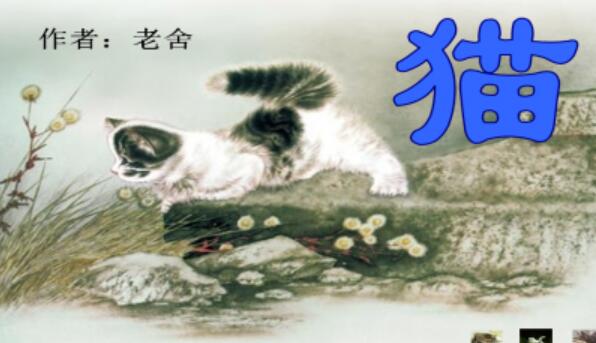 仿写《猫》作文800字