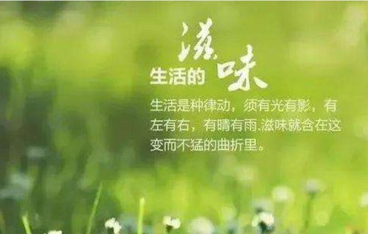 初中生活的酸甜苦辣作文800字