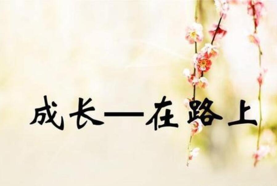 成长路上的挫折作文600字