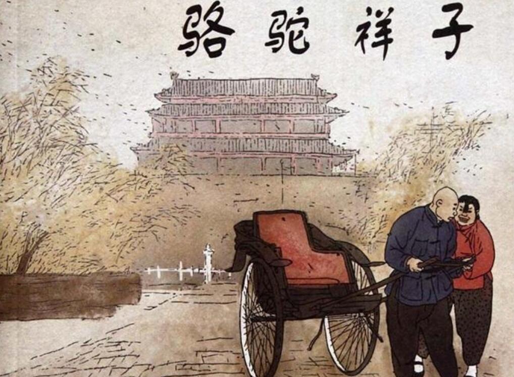 《骆驼祥子》读后感800字
