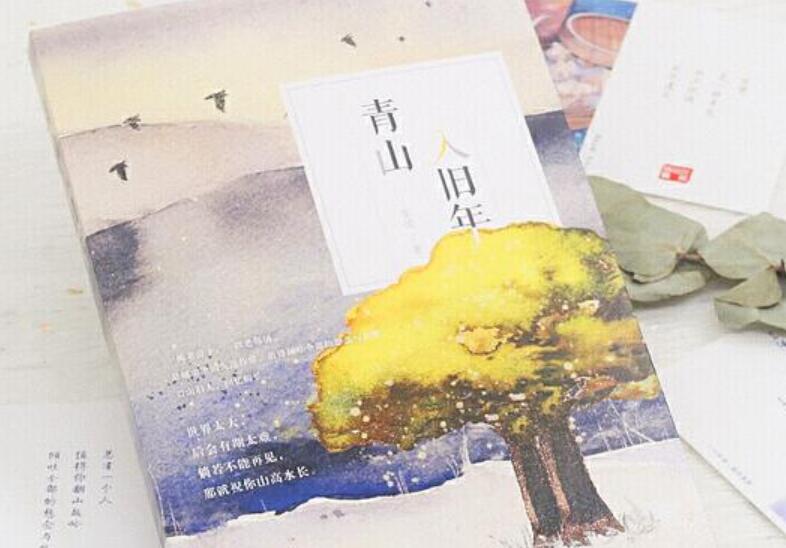 《青山入旧年》读后感1000字