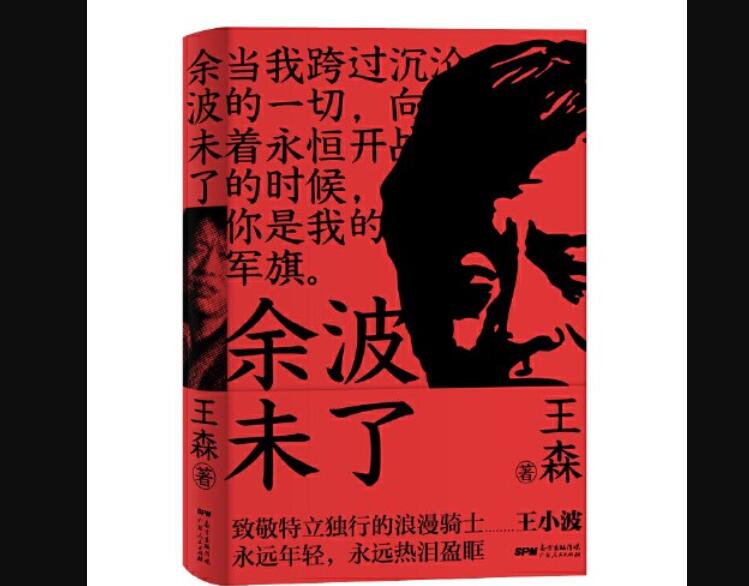 《余波未了》读后感800字