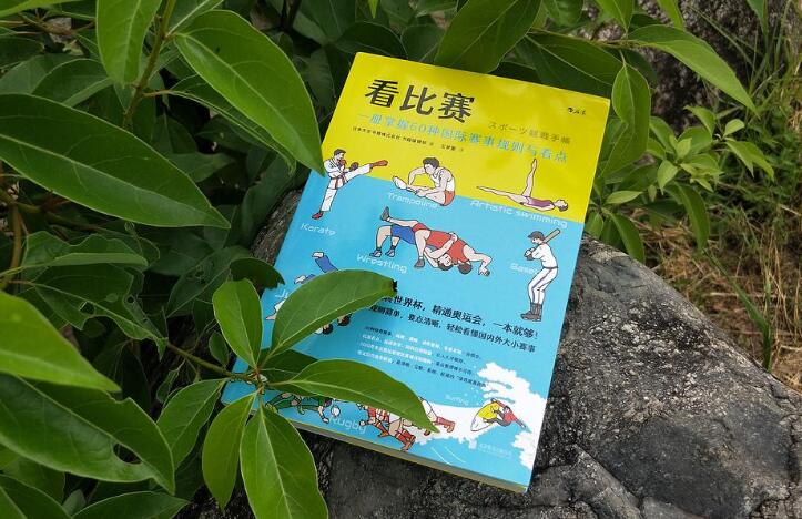 《看比赛》读后感1000字