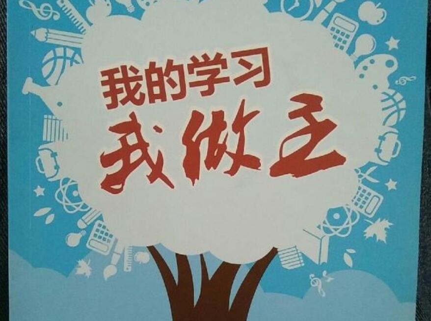 我的东西我做主作文600字