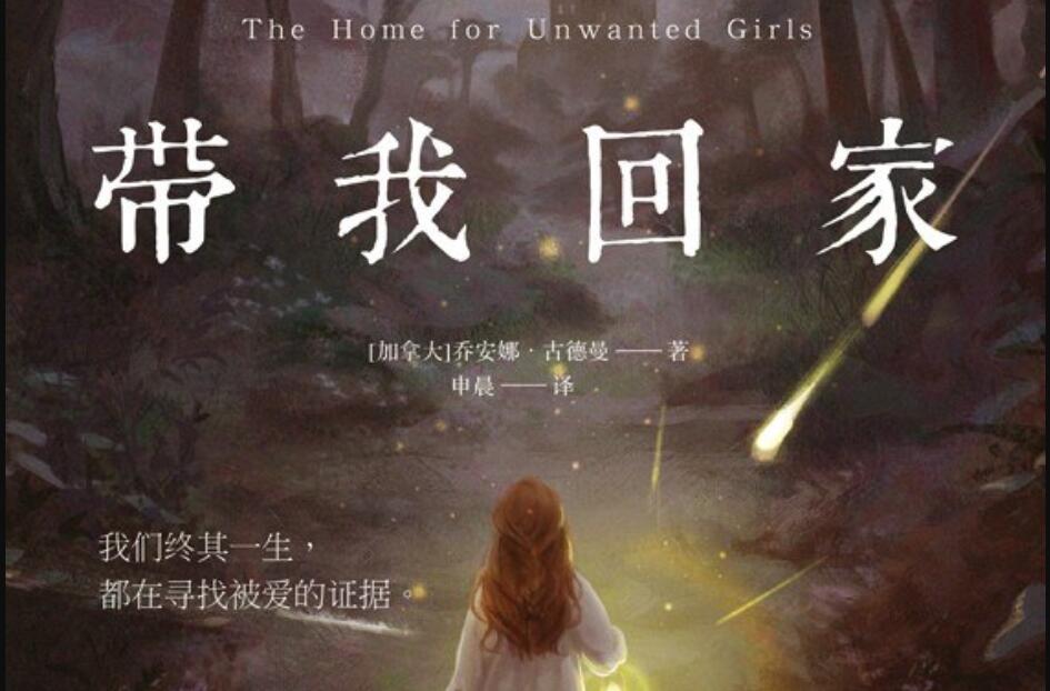 《带我回家》读后感2000字