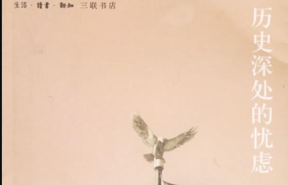 《历史深处的忧虑》读后感500字