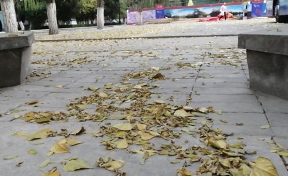 抹不去的回忆作文800字