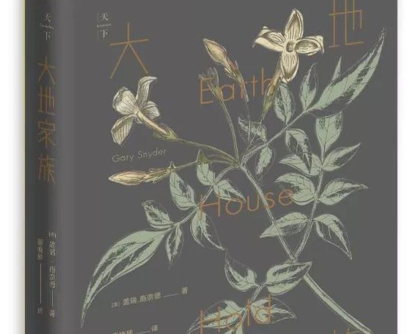 《大地家族》读后感2000字