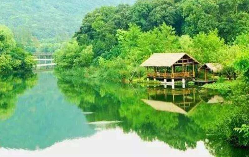 古诗中的夏天作文400字