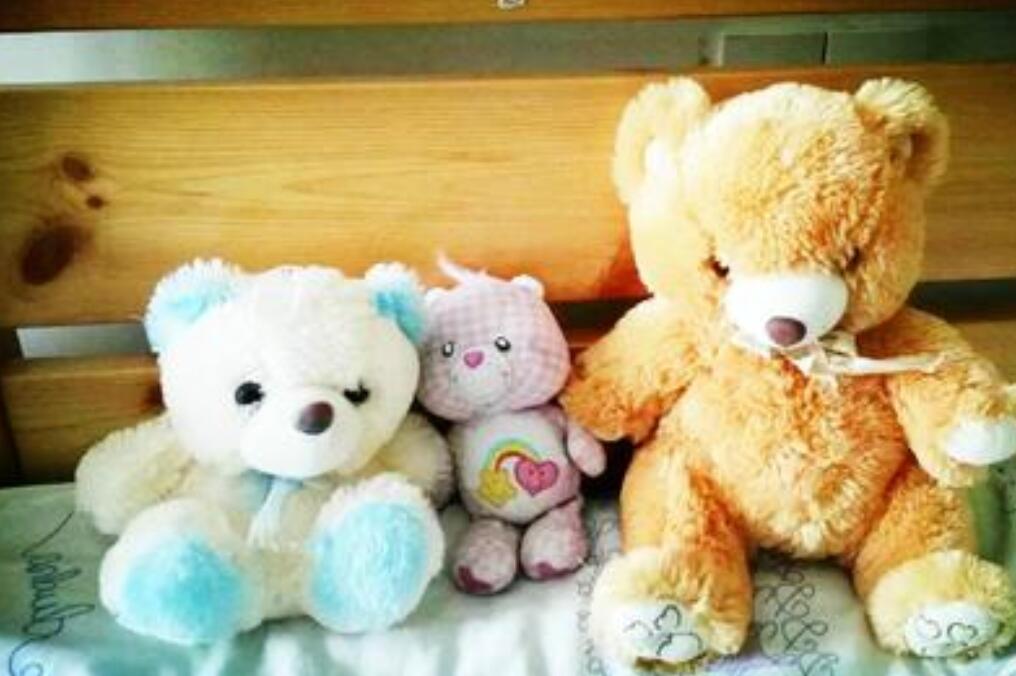 抽血记作文500字