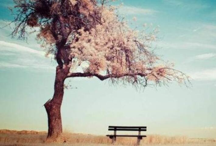 最美的遇见作文800字