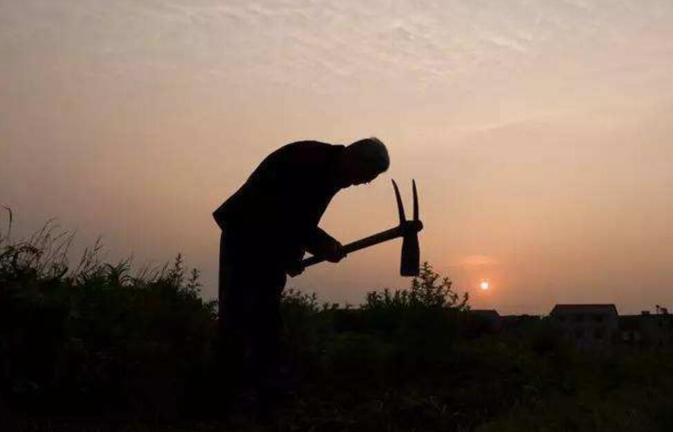 父亲的锄头作文400字