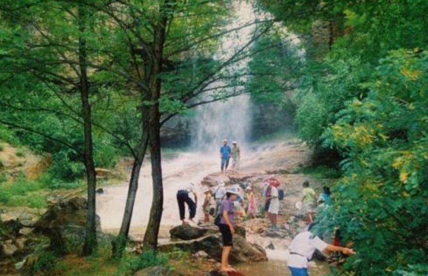 游森林公园作文400字