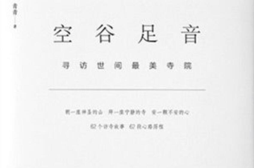 《空谷足音》读后感600字