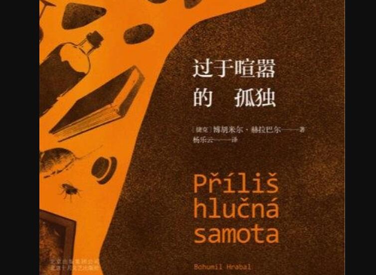 《过于喧嚣的孤独》读后感2000字