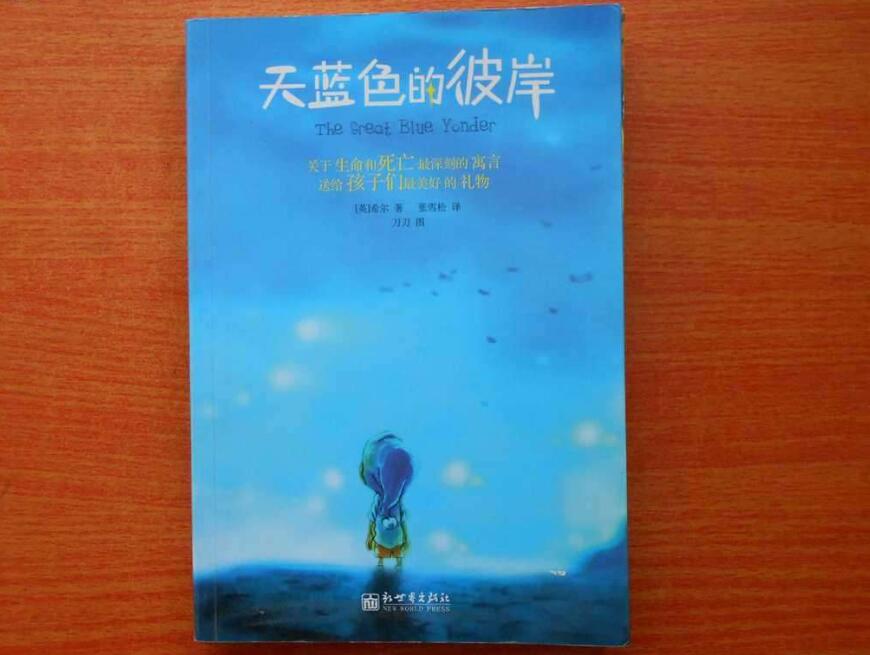 《天蓝色的彼岸》读后感400字