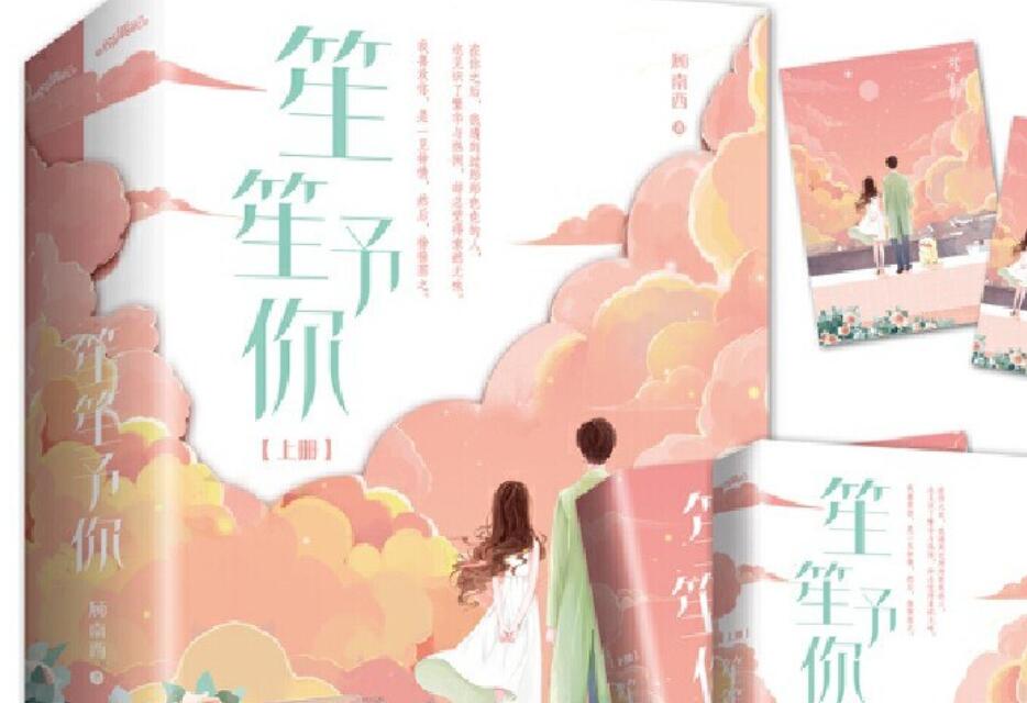 《笙笙予你》读后感500字