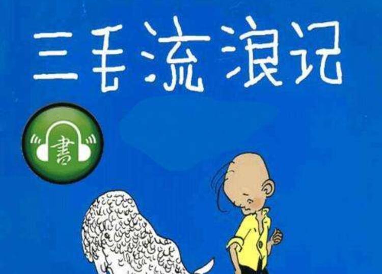 《三毛流浪记》读后感300字