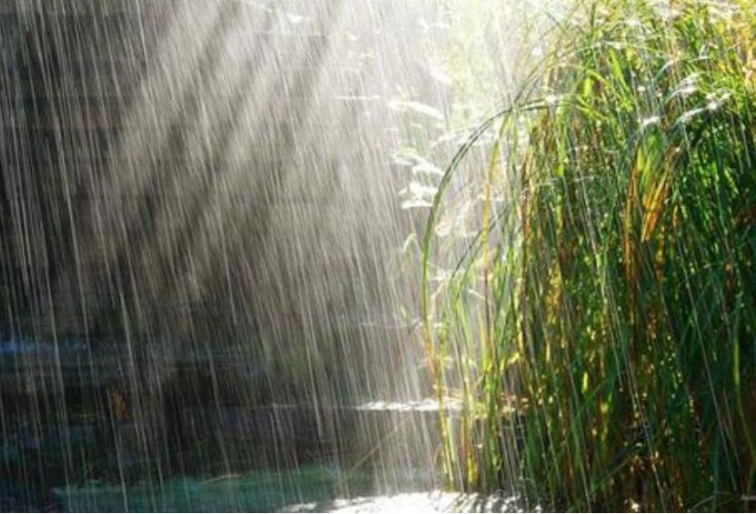 四季的雨作文600字