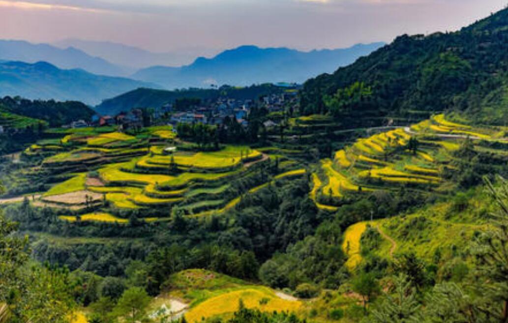 美丽的梯田作文500字