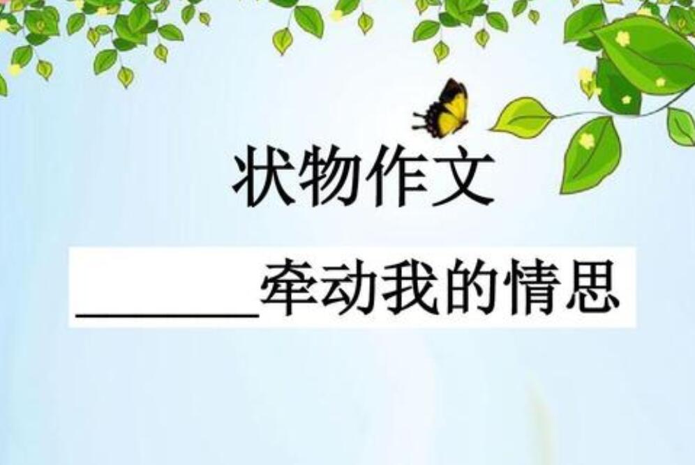 雨，牵动了我的情思作文500字