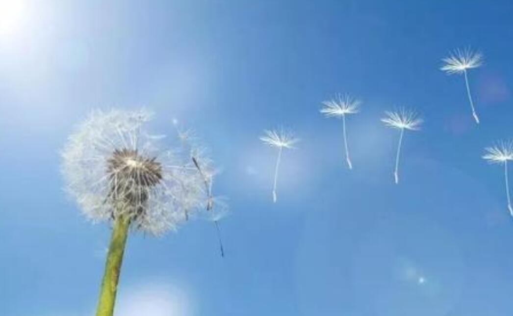 心底无私天地宽作文600字