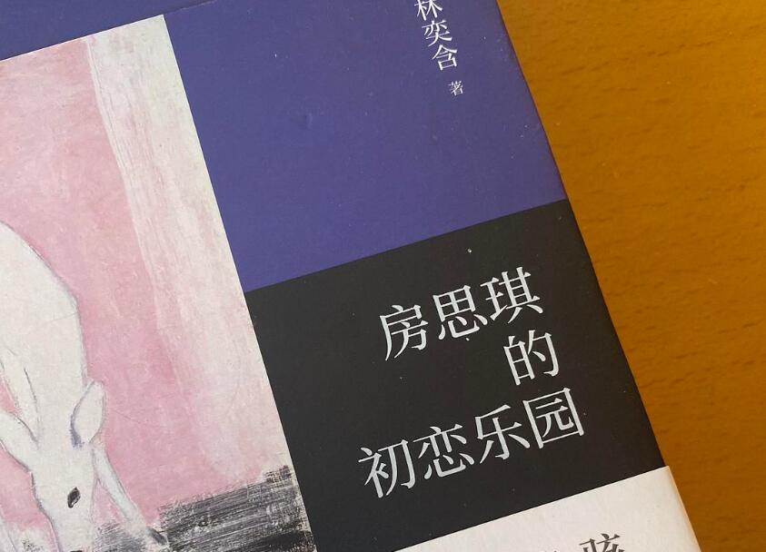 《房思琪的初恋乐园》读后感1000字