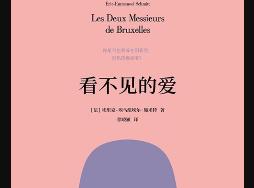 《看不见的爱》读后感500字