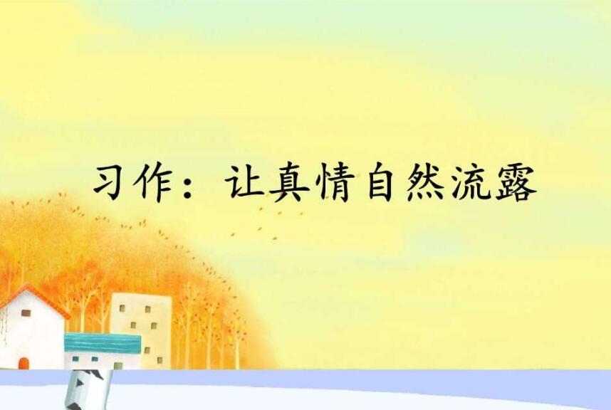 让真情自然流露作文600字